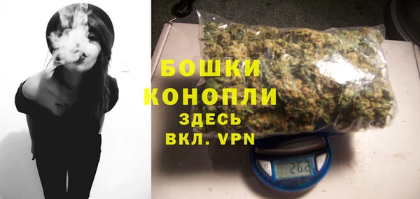 PSILOCYBIN Осинники