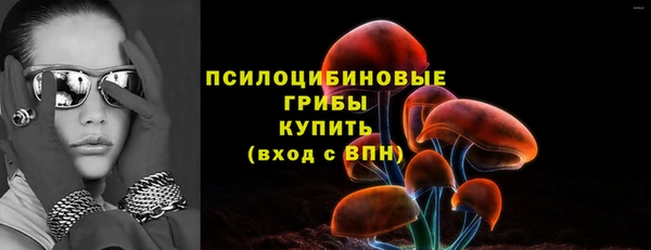 mix Няндома
