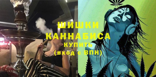 твердый Нягань