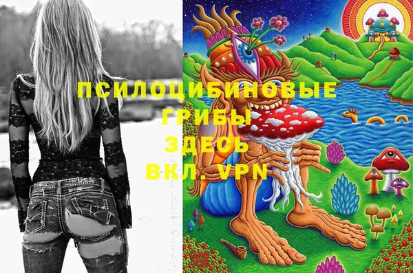 PSILOCYBIN Осинники