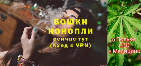 твердый Нягань
