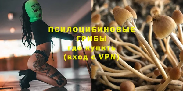 PSILOCYBIN Осинники